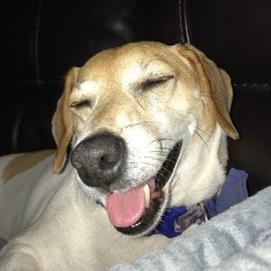 Meet your Posher, Claudine